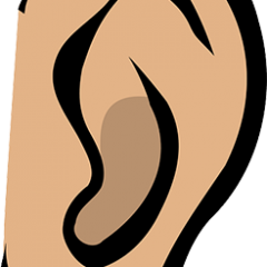 Fora činjenice o uhu